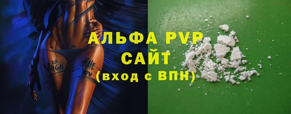 гашик Нея