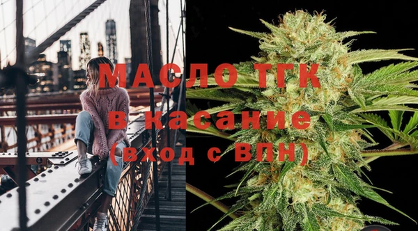 гашик Нея
