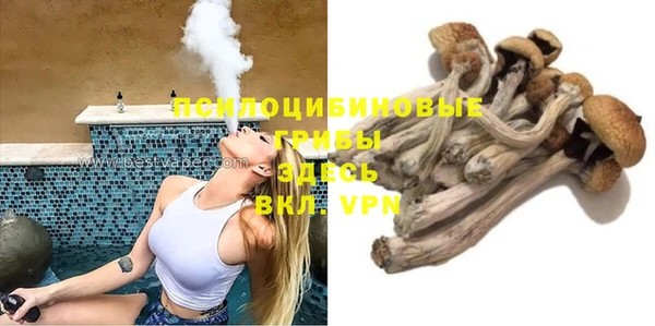 гашик Нея