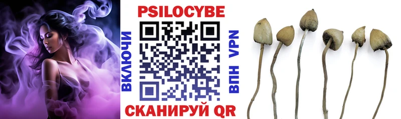 hydra ССЫЛКА  Ульяновск  Псилоцибиновые грибы Psilocybine cubensis  как найти закладки 
