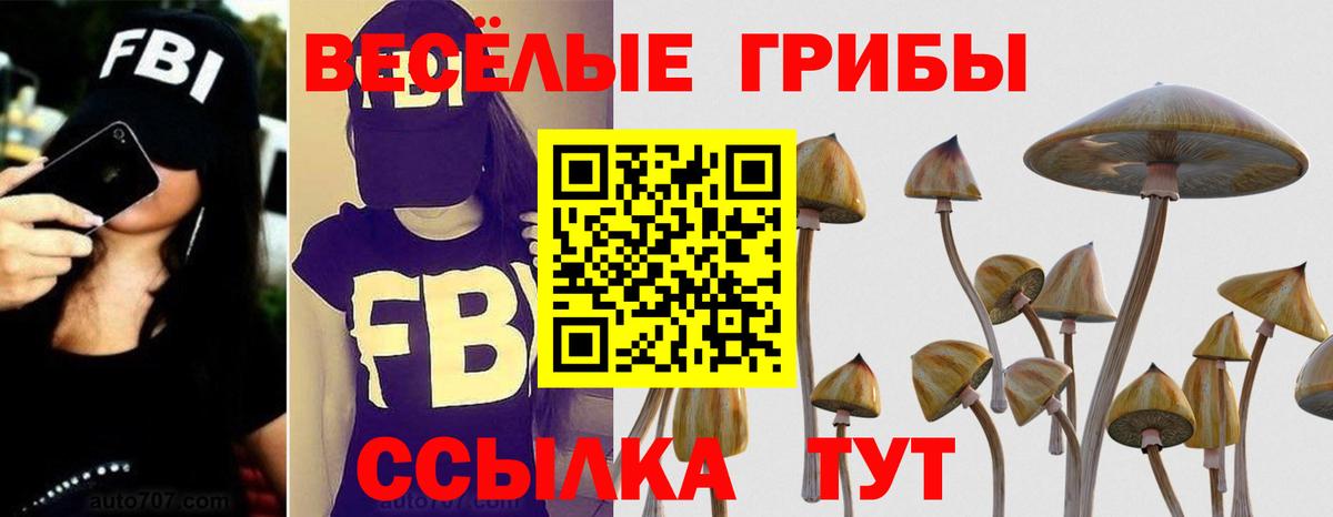 Псилоцибиновые грибы Magic Shrooms  Вход с VPN  Ульяновск 